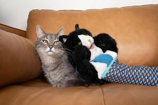 Wearable Cat Toy Wrestling Glove Puppet – Interactive Hand Mitt with Durable Protective Sleeve and Catnip - Play & Enrichment