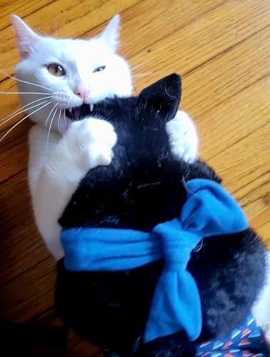 Wearable Cat Toy Wrestling Glove Puppet – Interactive Hand Mitt with Durable Protective Sleeve and Catnip - Play & Enrichment