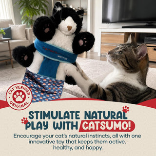 Wearable Cat Toy Wrestling Glove Puppet – Interactive Hand Mitt with Durable Protective Sleeve and Catnip - Play & Enrichment