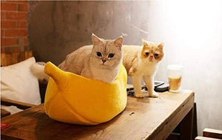 · Cute Banana Cat Bed House Large Size, Christmas Pet Bed Soft Warm Cat Cuddle Bed, Lovely Pet Supplies for Cats Kittens Rabbit Small Dogs Bed,Yellow